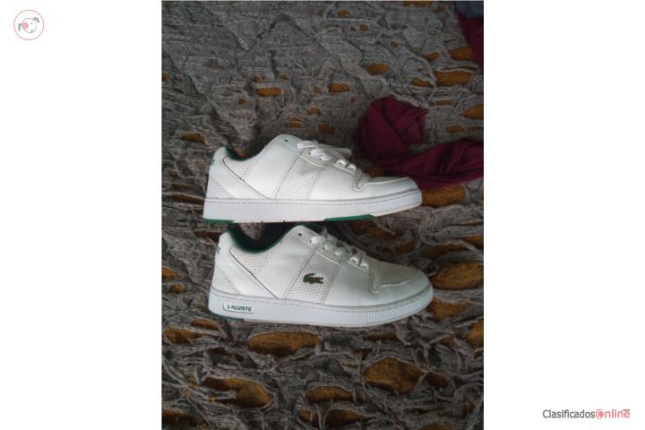 Tenis lacoste por 20 dolares , Puerto Rico