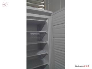 Standing Freezer Proffesional Series Home Dep, Puerto Rico