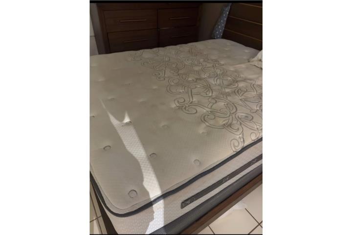 Mattress Queen, Puerto Rico