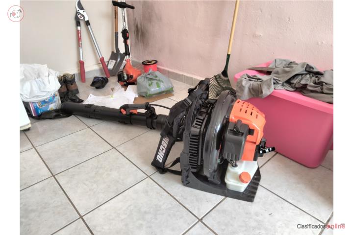 Echo blower, Puerto Rico