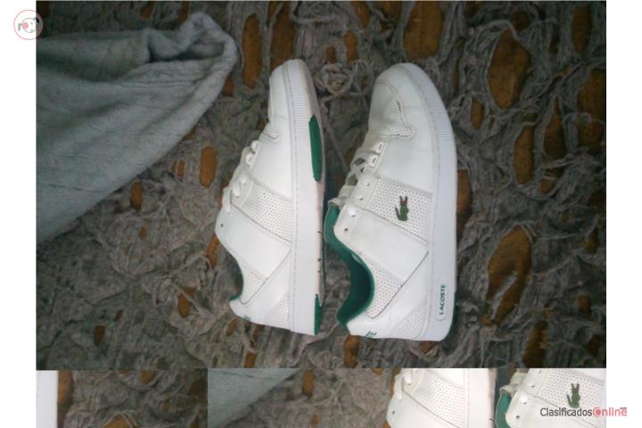 Tenis lacoste por 20 dolares , Puerto Rico