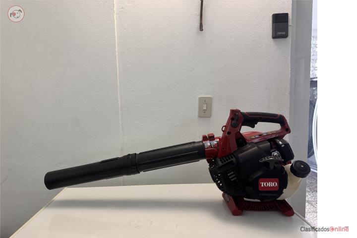 Blower-Vac Toro , Puerto Rico