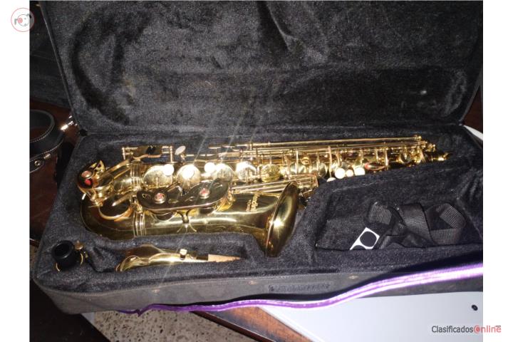 Saxofon alto, Puerto Rico