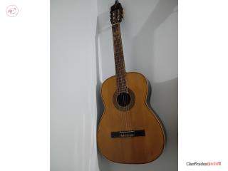 Guitarra antigua amplificada, Puerto Rico