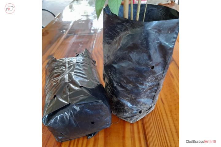 Plant Bag 1000, Bolsas de Plantas (Nuevo), Puerto Rico
