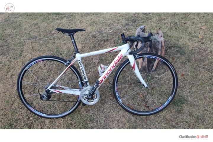 Cannondale Super Six Size 44, Puerto Rico