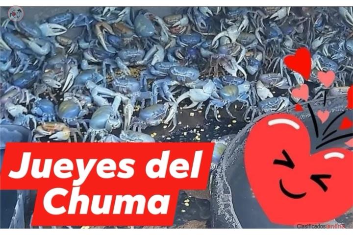Venta de Jueyes (Crabs for sale), Puerto Rico