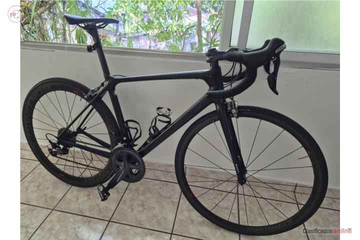 Giant tcr medium , Puerto Rico