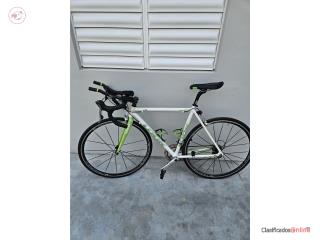 Bicicleta camella, Puerto Rico