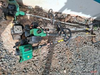 Trimer hitachi, Puerto Rico