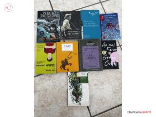 Novelas Escolares