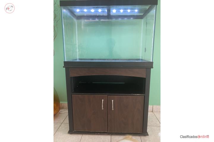 Pecera c/stand 55 Gls, Puerto Rico
