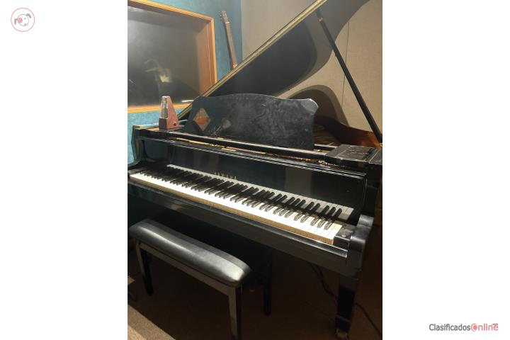 Piano de cola , Puerto Rico