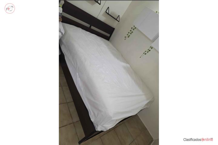 Cama y Matress, Puerto Rico