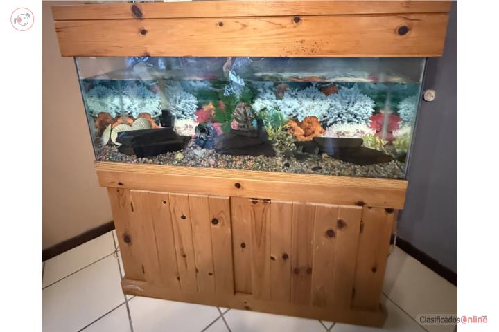 Pecera con mueble de 55 gal, Puerto Rico