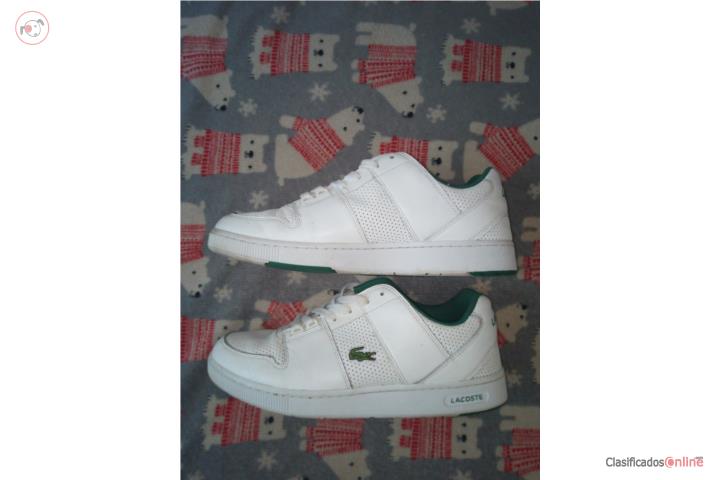 Tenis lacoste por 15 dolares , Puerto Rico