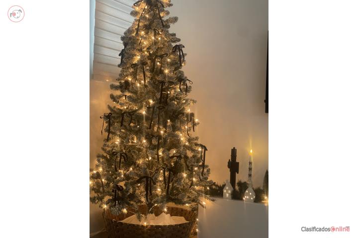 Árbol de navidad de 6.5, Puerto Rico