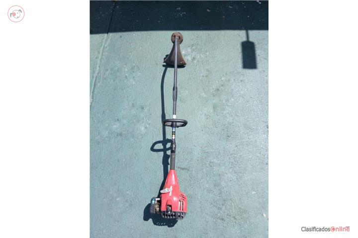 Trimmer curvo, Puerto Rico
