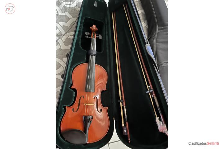 VIOLIN, Puerto Rico