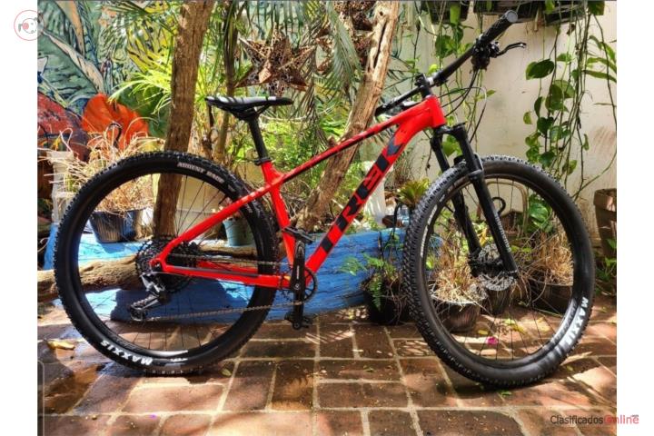 TREK MARLIN 8 (LG) 29  RADIOACTIVE , Puerto Rico