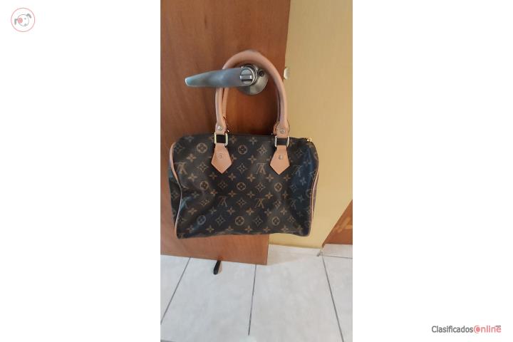 Cartera Louis Vuitton , Puerto Rico