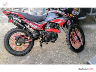 Raven250