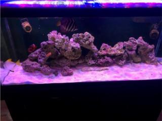 PECERA 75 GAL CON TODO PARA MONTAR REEF  Puerto Rico