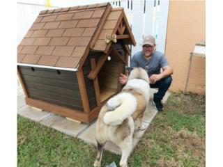Casas Para Perros Grandes Puerto Rico