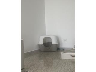 Pet cat litter box Puerto Rico