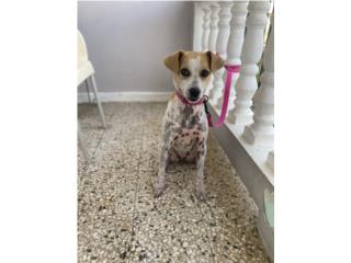 Esta chica necesita un hogar Puerto Rico