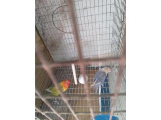 Venta