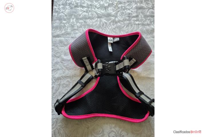 Collar para perra mediana Puerto Rico