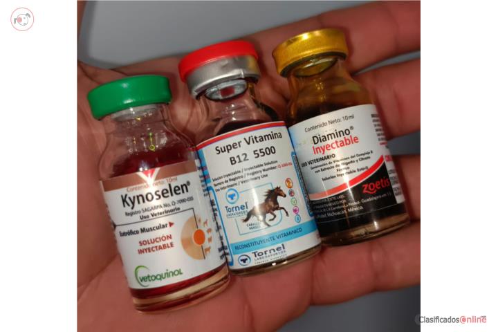 Nutricion para todo tipo de Animales Puerto Rico