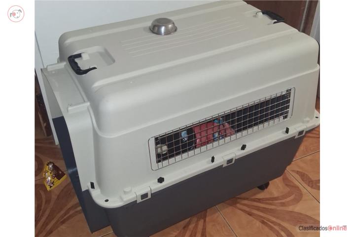 Kennel nuevo para perro grande   Puerto Rico