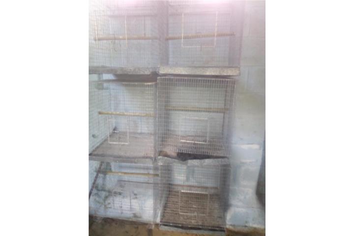 Jaulas de pájaro chiquitas