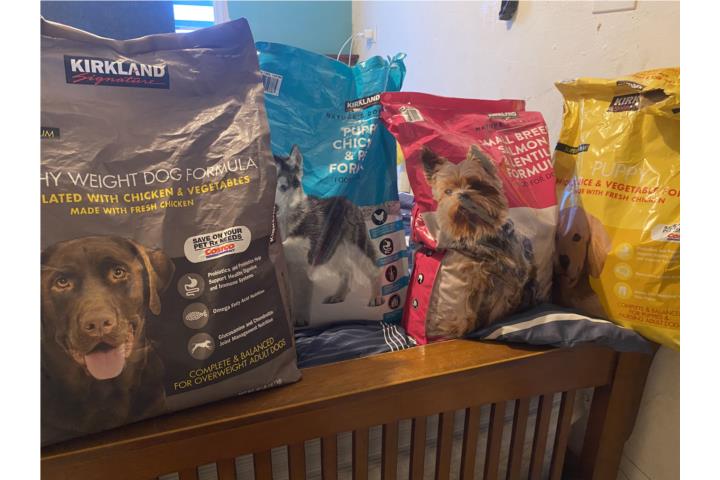COMIDA PARA PERROS COSTCO Puerto Rico