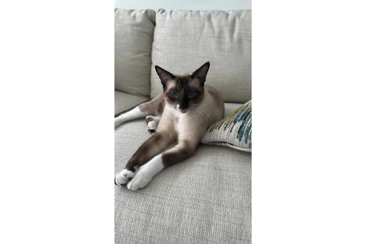 Busca hogar Puerto Rico