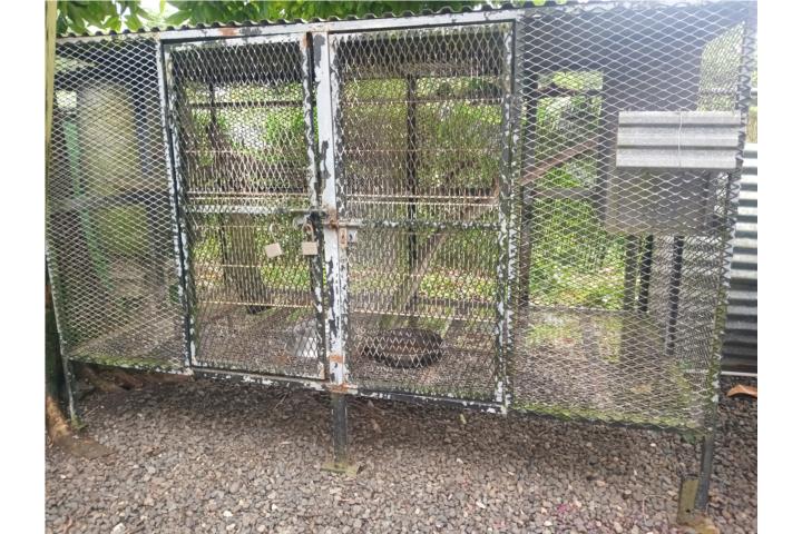 Jaula grande en espandel metal medidas 4X4X8  Puerto Rico