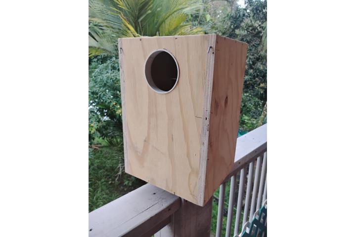 Se venden nidos para cotorras