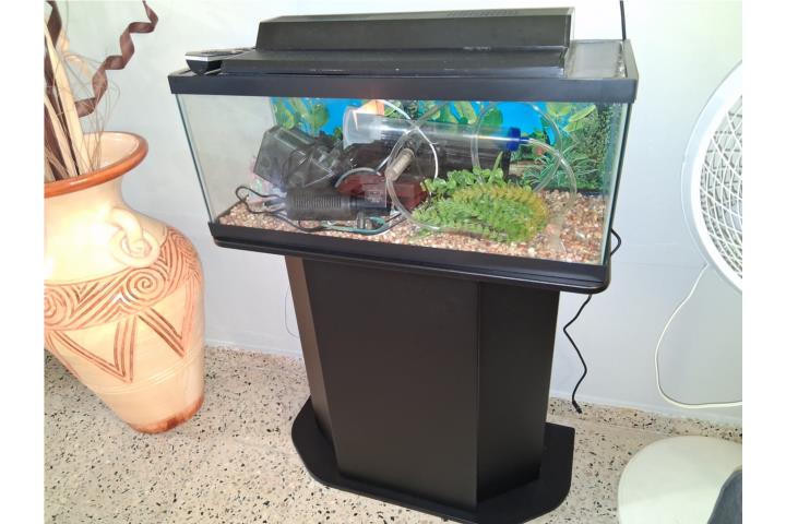 Pecera de 20 gal long Puerto Rico