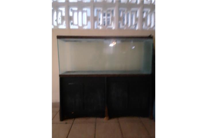 Pecera 55 gals.con mesa madera  Puerto Rico