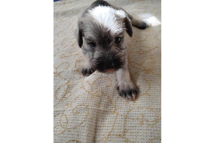 Photo 3