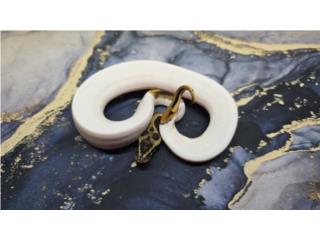 Serpiente ball python serpientes  Puerto Rico