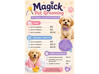 Grooming en Guayama Puerto Rico