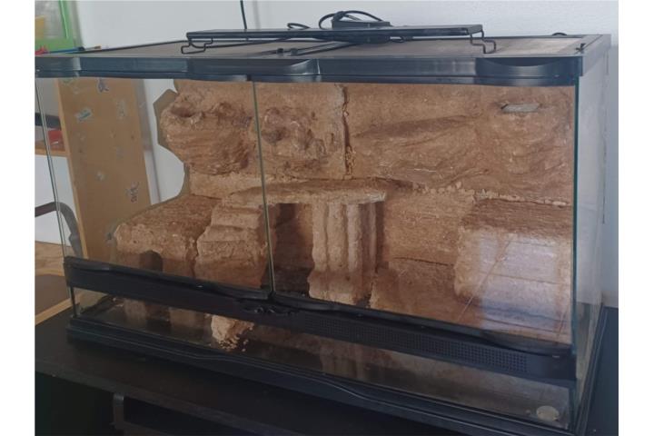 Pecera para Reptiles Puerto Rico