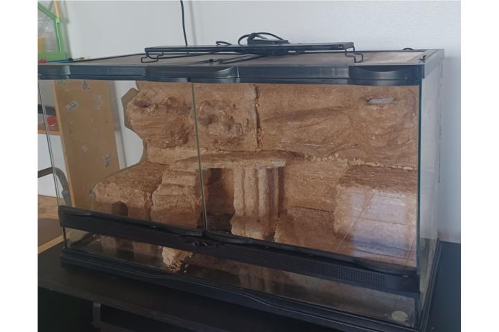 Pecera para Reptiles Puerto Rico