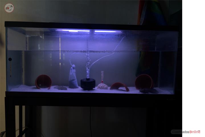 Pecera completo 55g PARA HOY Puerto Rico