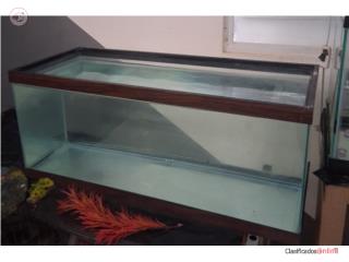  SV PECERA 20 GL Puerto Rico