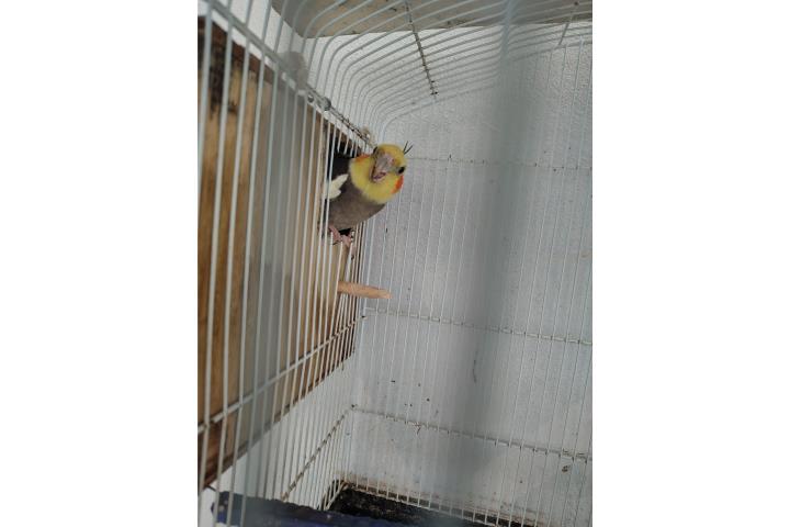Photo 2
