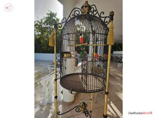 Jaula para pajaritos Puerto Rico